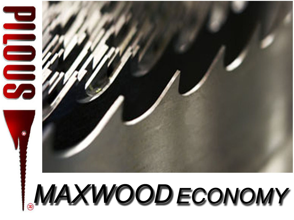 Ta�ma tn�ca rozmiar 35x0.9x4000 MAXWOOD PILOUS typ ECONOMY